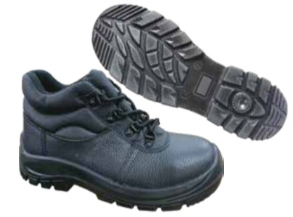 WhatsApp Image 2026-04-07 at 15.05.38